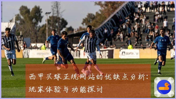 西甲买球正规网站的优缺点分析：玩家体验与功能探讨