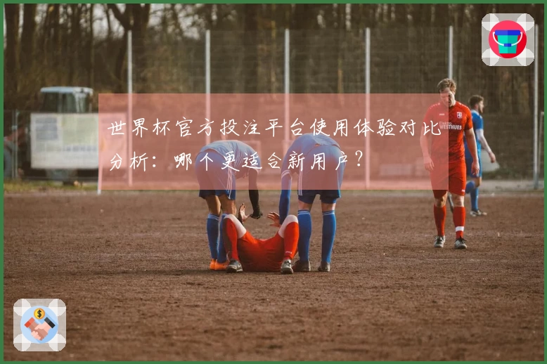 世界杯官方投注平台使用体验对比分析：哪个更适合新用户？
