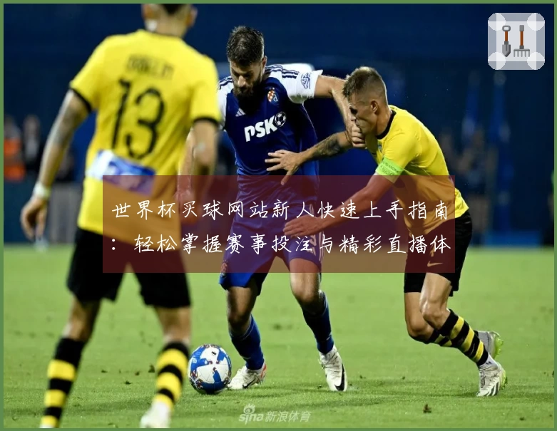 世界杯买球网站新人快速上手指南：轻松掌握赛事投注与精彩直播体验