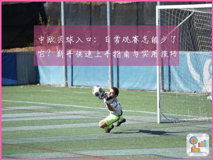 中欧买球入口：日常观赛怎能少了它？新手快速上手指南与实用技巧分享