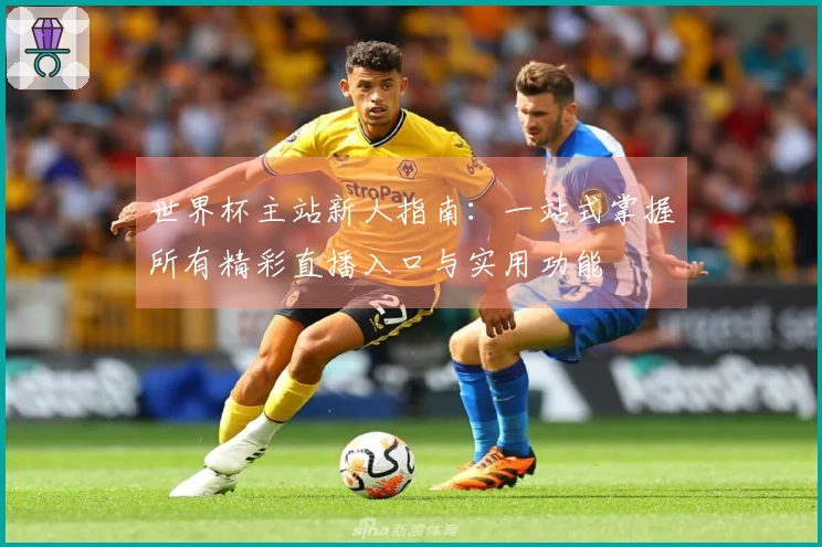 世界杯主站新人指南：一站式掌握所有精彩直播入口与实用功能