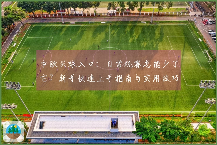 中欧买球入口：日常观赛怎能少了它？新手快速上手指南与实用技巧分享